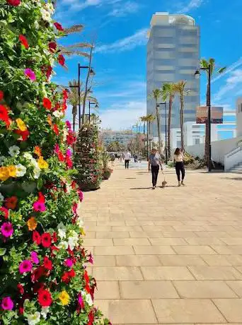 Photo de Paseo MarÃtimo de Estepona