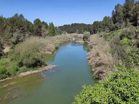 Photo de La Cova Negra