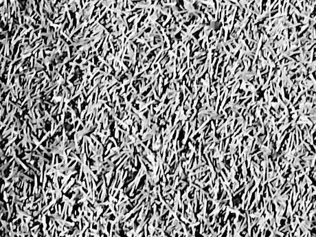 Photo de Kunstrasenplatz Völklingen