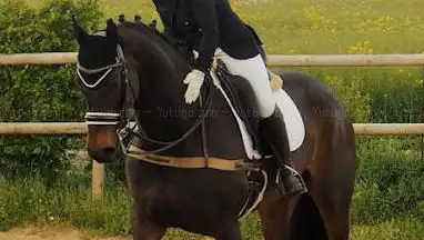 Photo de Écurie des Monts