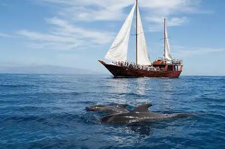 Photo de Excursions Karim Tenerife DZ