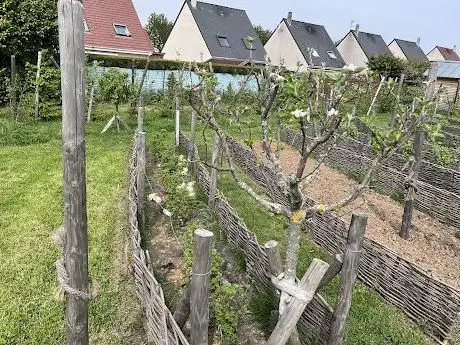 Photo de Parc archéologique Ifs