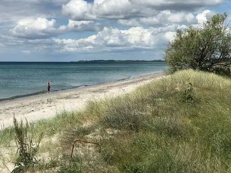 Photo de Beddinge strandhed naturvårdsområde