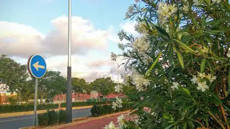 Photo de Paterna Soccer Field
