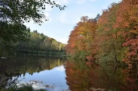 Photo de Étang de Saint-Louis-lès-Bitche