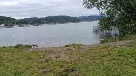 Photo de Hundewiese Wörthersee