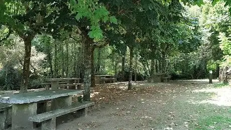 Photo de Parque de merendas da Árvore