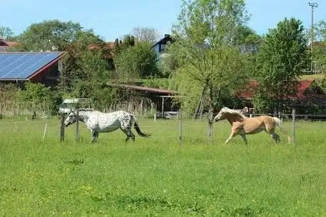 Photo de Horse Camp Brandy Station