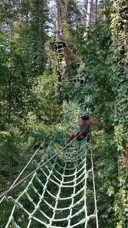 Photo of Jungle Adventure Park