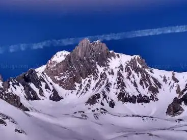 Photo de Dent Parrachée