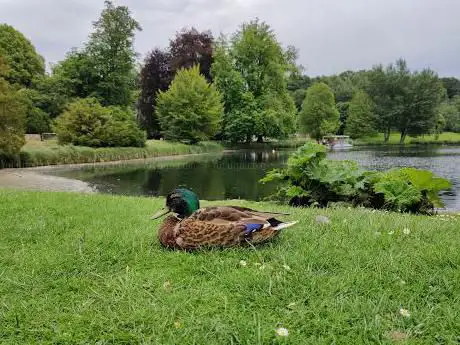 Photo de Leeds Castle Bird of Prey Centre