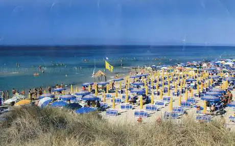 Photo of Lido Morelli