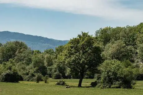 Photo de Prati del Merro
