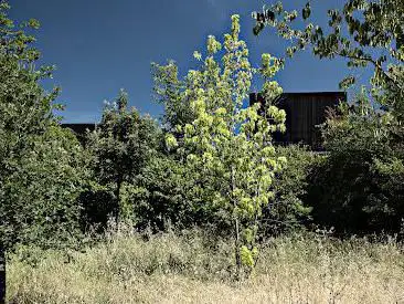 Foto de Parc Malbosc