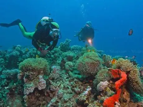 Photo de SUBEX Red Sea Diving Center