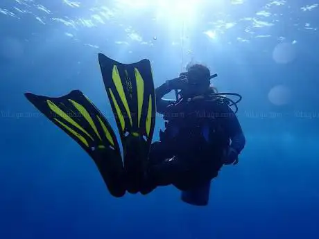 Photo de Deep Blue Scuba
