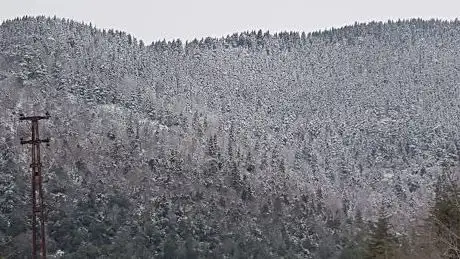 Photo de SIYRINGAÇ YAYLASI