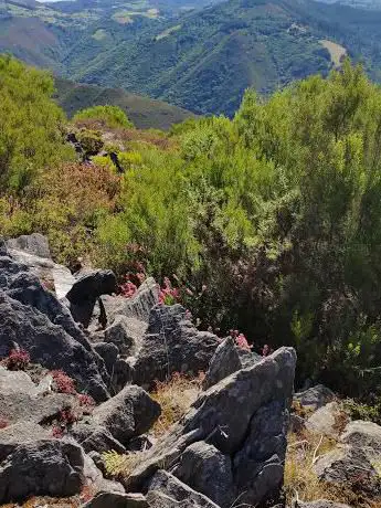 Photo de Castro De San Isidro