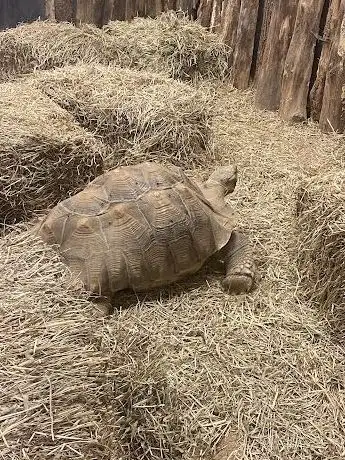 Photo de Björkängs Tropikcenter AB