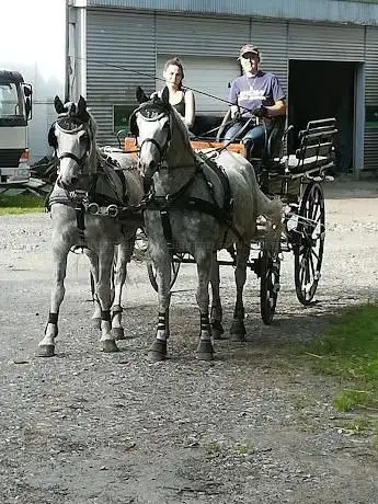 Photo de Sauerts Hof