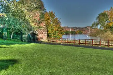 Photo de Worcester Swan Sanctuary