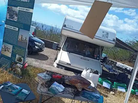 Photo de PLONGÉE LA OU SE