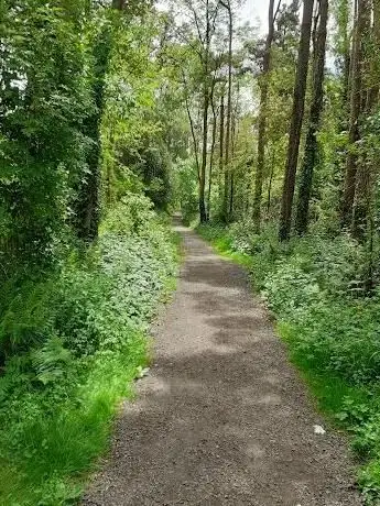 OakPark  Carlow  Co. Carlow