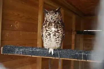 Photo de The Hawking Centre