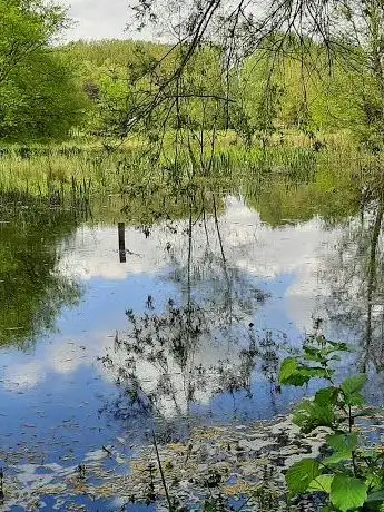 Photo de Réserve Naturelle Régionale de l'Escaut Rivière