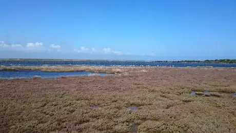 Photo de Punto osservazione Fenicotteri e fauna locale