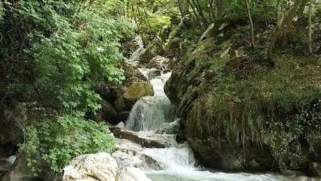 Photo de Ruzzo the Waterfall