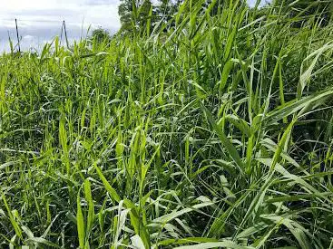 Photo de Eco-Village de l'Étang