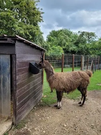 Photo of Le parc animalier EDENTARA