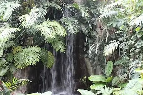 Photo de Amazonienhaus