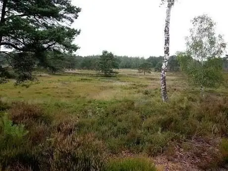 Photo de Fietsknooppunt 20 ‍ ️