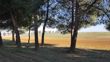 Photo de Periurbano de Vistalegre Park