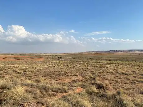 Photo de Reserva Ornitológica de El Planerón