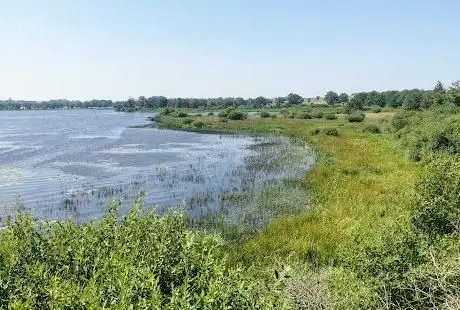 Photo de Réserve naturelle nationale de l'étang des Landes