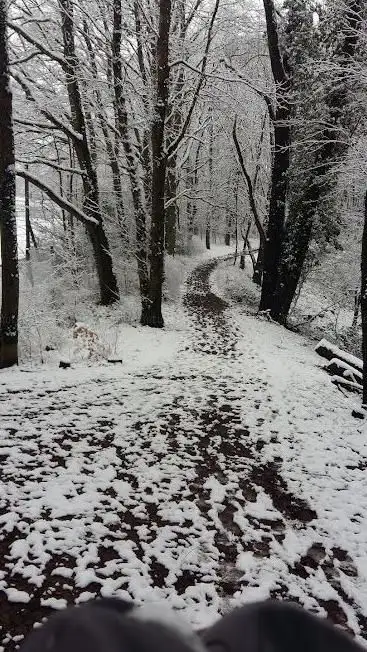 Photo de Wald am Rodenhof