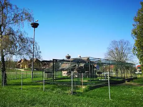 Photo de Parc à cigognes
