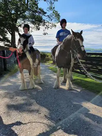Photo de Linden Farm Riding & Trekking Centre