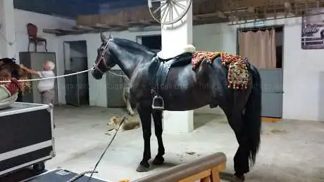 Photo de Centro ippico Equus