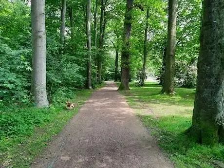 Photo de Spielplatz Waldring