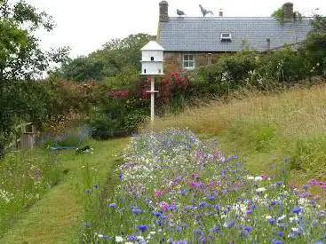 Photo de Judith Queree's Garden