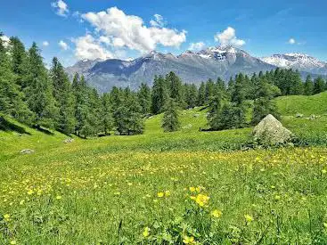 Photo de Parco Naturale Orsiera Rocciavrè