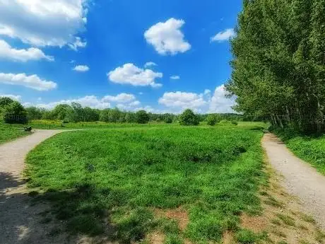 Photo de Hundewiese / Hundefreilauf Jaberg