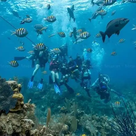 Photo de Marines Diving Club Sharm Plaza