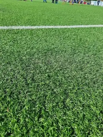 Photo de Strömsvallen