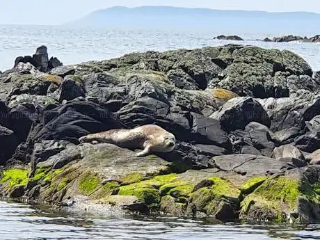 Photo de Islay Sea Adventures