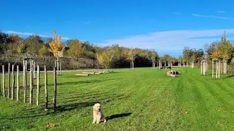 Photo de Hunde-Spielwiese und Agility-Platz Aschheim